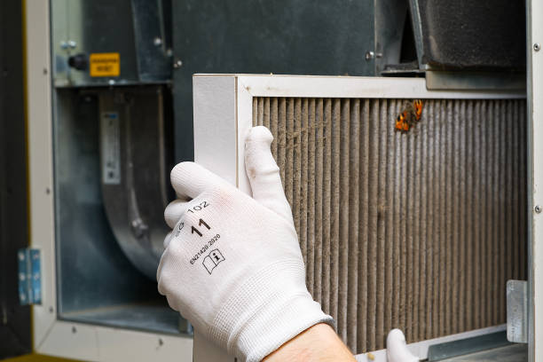 Best Ductwork Cleaning Services  in West Jefferson, NC